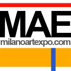 Premio Arte Laguna 2012, Milano Arte Expo Premio Arte Laguna 2012, Milano Arte Expo