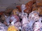 Guardia Costiera Terrasini, sequestro circa pesce congelato