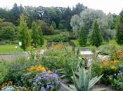 L'orto botanico Göteborg