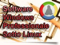 Software Windows professionale in Linux