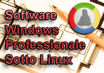 Software Windows professionale sotto Linux
