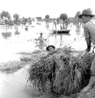 Un patrimonio fotografico che non andrà disperso