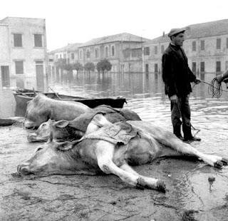 Un patrimonio fotografico che non andrà disperso