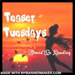 Teaser Tuesdays #8