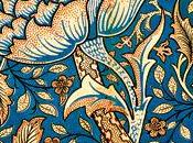 Concorso Morris Rosa vincitrice considerazioni...]