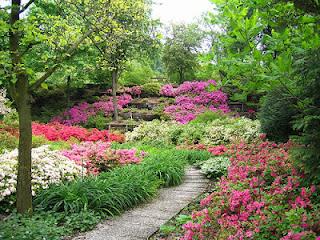 Come realizzare un piccolo giardino.