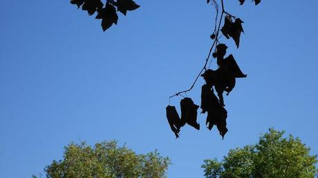 A volte, bisogna staccare la spina anche se per poco.