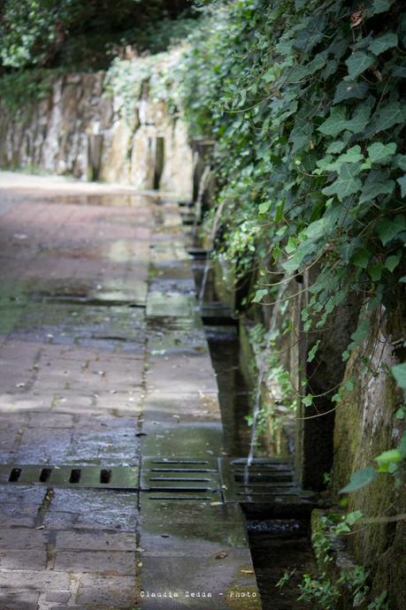 Siete Fuentes e Santu Lussurgiu: date acqua alle assetate