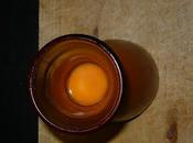Salmorejo fluidi.