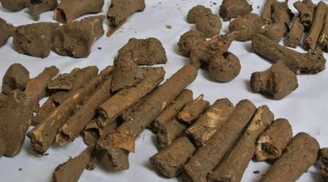 Sono medioevali le ossa di San Giovanni in Persiceto, non vittime partigiane