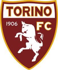 Torino logo Torino FC. Bilancio 2010 (31.10.2010)