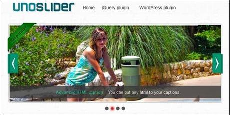 Responsive jQuery Slider WordPress Plugin