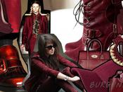 Tendenze autunno inverno 2012/13 Burgundy