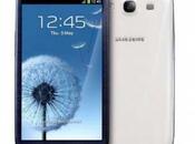 Galaxy Aggiornamento Jelly Bean Android 4.1.1 confermato ottobre