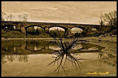 acqua dell'Orcia