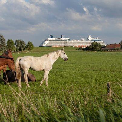 CELEBRITY REFLECTION: A BREVE LASCIA IL CANTIERE