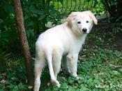 bella novità... 37/52