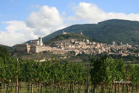 Trekking tra le vigne