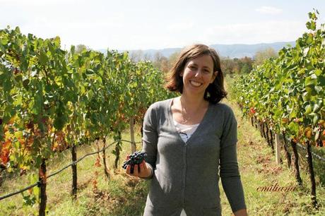 Trekking tra le vigne