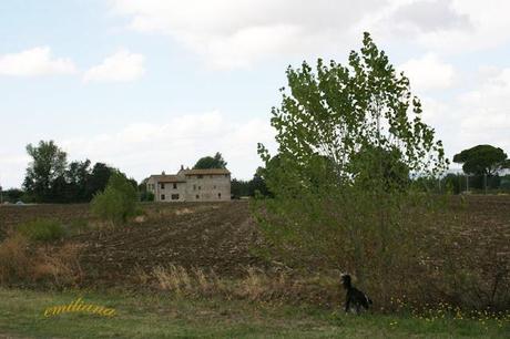 Trekking tra le vigne