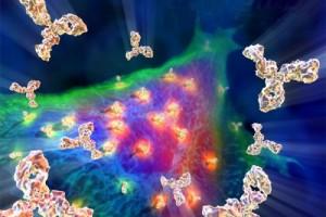 Cerchi nel Grano e Simbolismo Esoterico