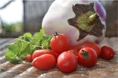 Cake con melanzana bianca, pomodori e menta