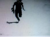 Pesaresi 2012: Viaggio dentro monitor