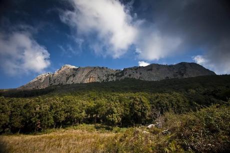 Sicilia natura