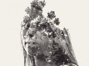 nature Christoffer Relander