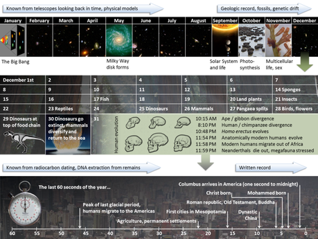 Il calendario cosmico: la storia dell'universo compressa in un singolo anno