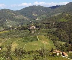 Vigneti nel Chianti