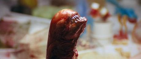Immagine tratta da Alien di Ridley Scott (1) una immagine di Alien 1 620x262 su Quadrilogia di Alien: Terrore dallo Spazio Profondo