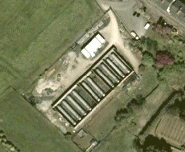 Bomboloni e codice etico