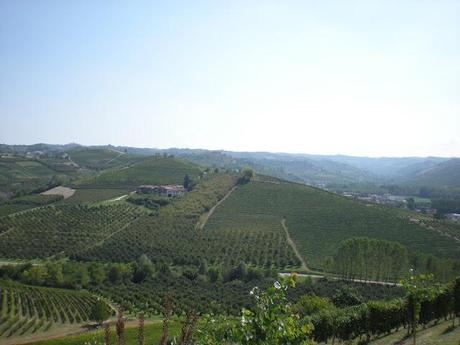 Le langhe. Rimangono nel cuore.