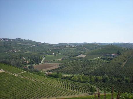 Le langhe. Rimangono nel cuore.