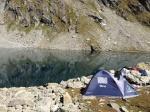 Trote e Salmerini nei Laghi Alpini