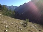 Trote e Salmerini nei Laghi Alpini