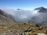 Trote e Salmerini nei Laghi Alpini