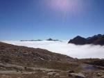 Trote e Salmerini nei Laghi Alpini