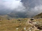 Trote e Salmerini nei Laghi Alpini