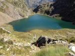 Trote e Salmerini nei Laghi Alpini