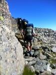 Trote e Salmerini nei Laghi Alpini