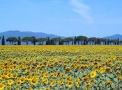 Fine settimana Grosseto