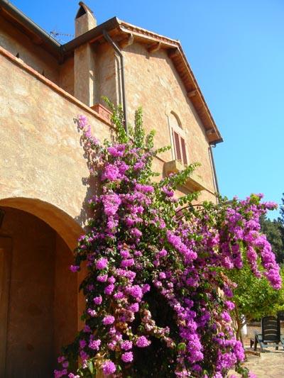 Golfo di Baratti e dintorni…weekend perfetto!