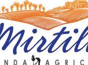 Festa Fungo Azienda Agricola Mirtilli". Varese, settembre 2012