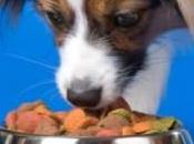 Sciopero contro caro ciotola Vendite Calate