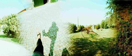 scatti in campagna con LC-Wide