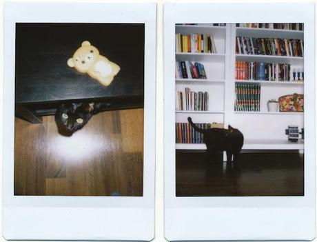 il ristorno delle Fuji Instax!!