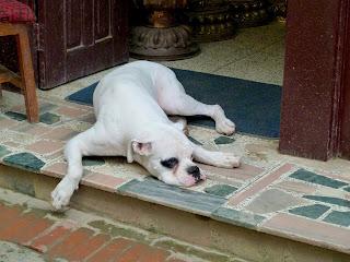 Nepal Reloaded: la valle di Kathmandu e altre meraviglie