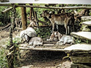 Nepal Reloaded: la valle di Kathmandu e altre meraviglie